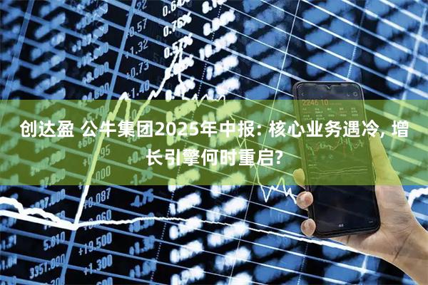 创达盈 公牛集团2025年中报: 核心业务遇冷, 增长引擎何时重启?